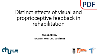 DESS_ECNR_TN1_ADHAM-Ahmed_Distinct-and-additive-effects-of-visual-and-vibratory-feedback