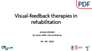 DESS_ECNR_TN3_ADHAM-Ahmed_EEG-biomarkers-in-video-feedback-therapy
